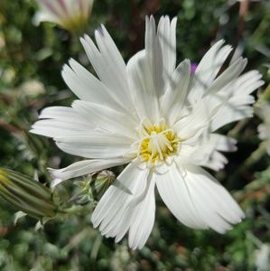 Meet your Posher, Carolyn